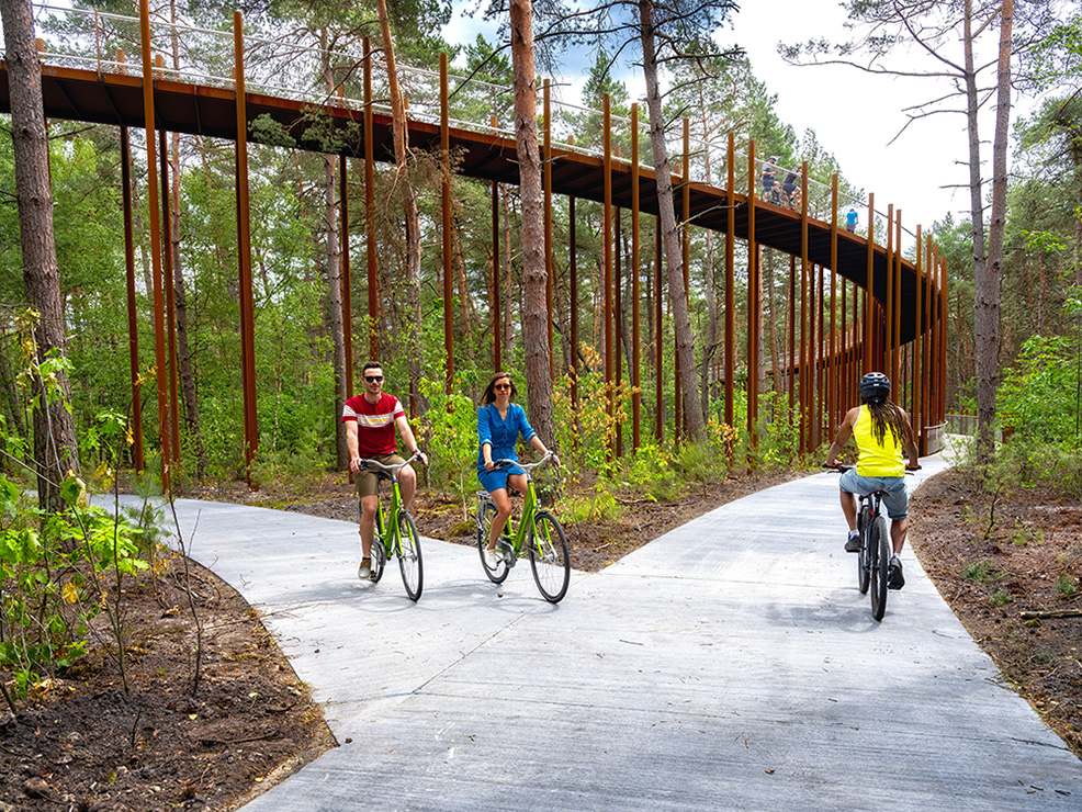 ciclovia belgica Conozca la sorprendente ciclovía que está construida entre las copas de los árboles